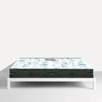 Five Star Max Medi Mattress
