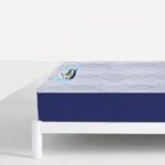 Five Star Max Ortho Mattress