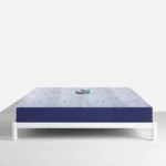 Five Star Max Ortho Mattress