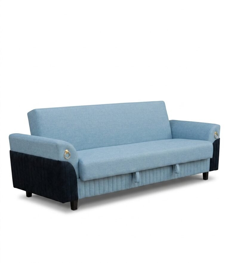 Indus Sofa Cum Bed 1